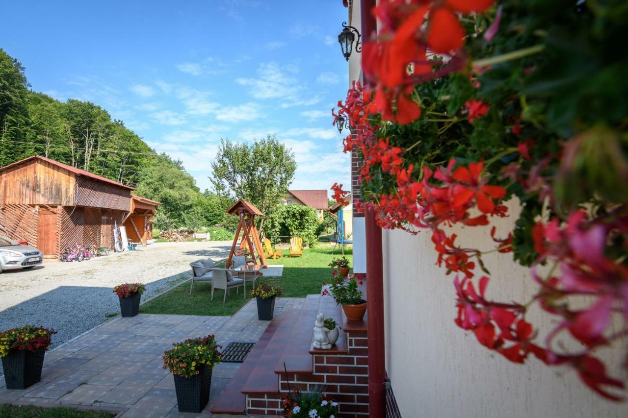 Casa Moldovan Sovata Exterior foto
