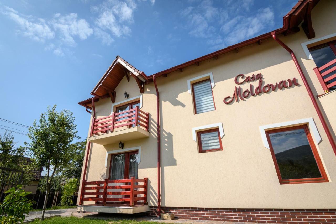 Casa Moldovan Sovata Exterior foto